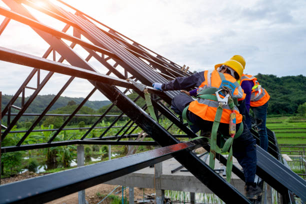 Best Storm Damage Roof Repair  in Valley, NE